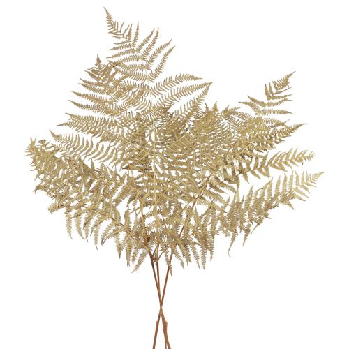 Tørrede blomster dekorative bregnetørrede bregneblade 70cm 10stk