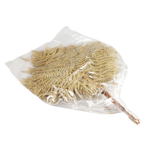 Artikel Tørrede blomster dekorative bregnetørrede bregneblade 70cm 10 stk