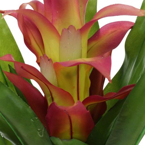 Floristik24 Bromelia kunstig Pink Kunstig blomst til pind 54cm