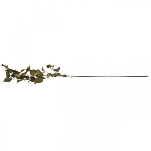 Floristik24 Deco gren bøg kunst bøg gren efterårs gren deco 115cm
