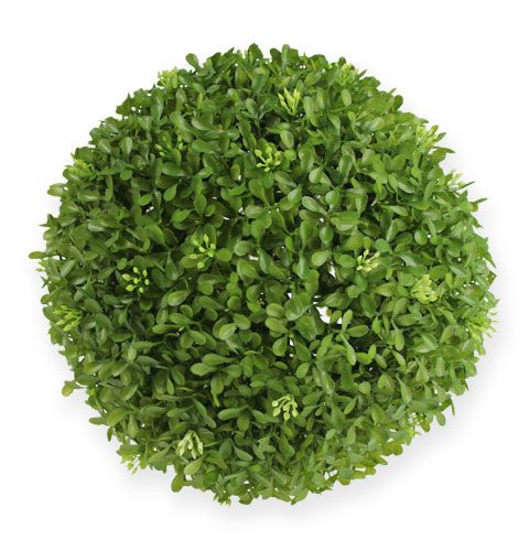 Floristik24 Æskekugle Ø25cm