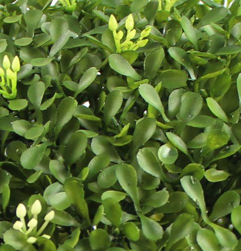 Floristik24 Æskekugle Ø25cm