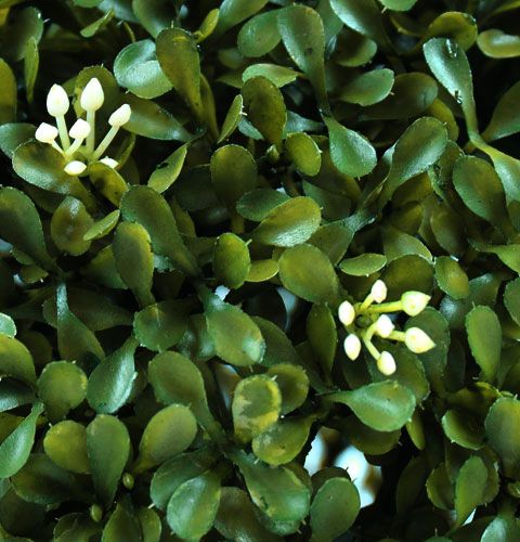 Floristik24 Bogkugle Ø30cm