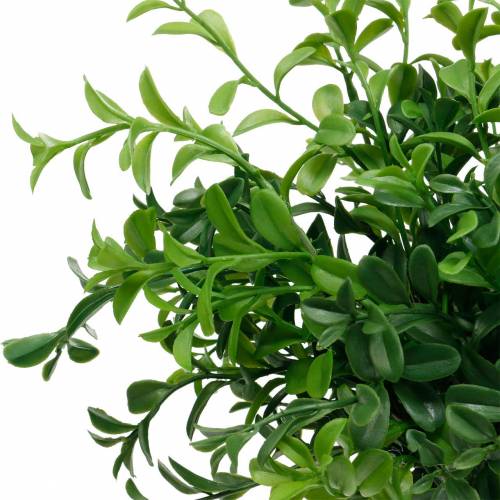 Floristik24 Kassegrene buksbom på plukke kunstig grøn plante 6 stk