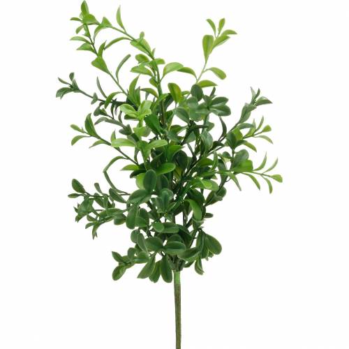 Floristik24 Kassegrene buksbom på plukke kunstig grøn plante 6 stk