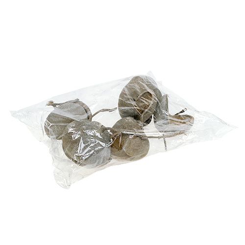 Artikel Buddha nødder 8-10cm hvidvaskede 10 stk
