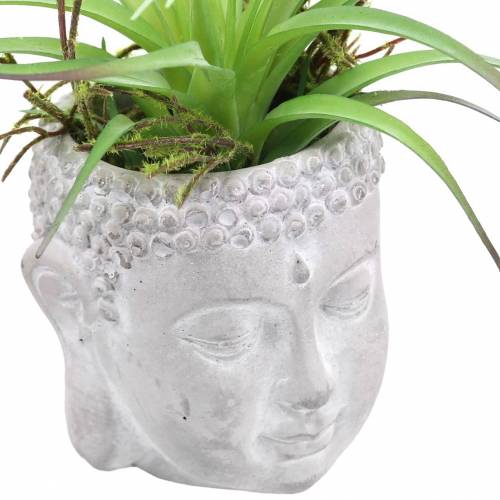 Floristik24 Buddhahoved til plantning af betongrå, hvidvasket Ø8 H8cm