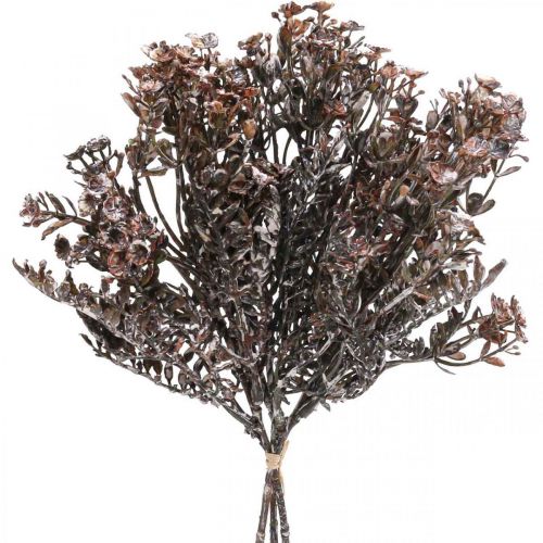 Artikel Kunstige planter brun efterårsdekoration vinterdekoration Drylook 38cm 3 stk