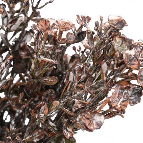 Artikel Kunstige planter brun efterårsdekoration vinterdekoration Drylook 38cm 3 stk