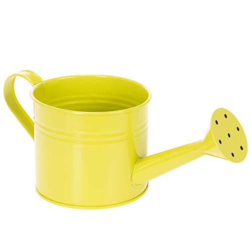 Farverig dekorativ vandkande, Ø11 cm, H9,5 cm, til plantning, forårsborddekoration, metal, sæt med 8 | Floristik24.dk