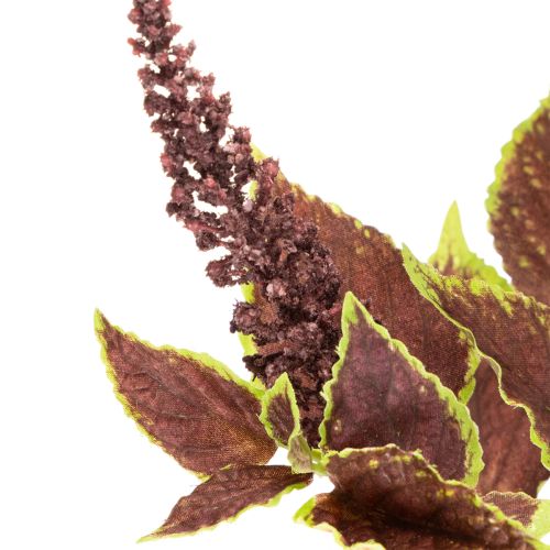 Kunstig Coleus med røde blade, kunstig plante, 20 cm | Floristik24.dk