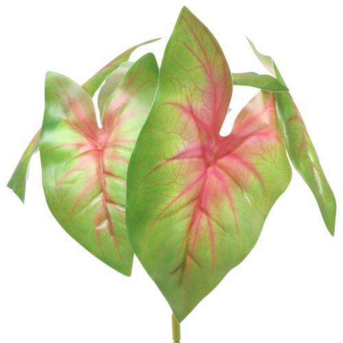 Artikel Kunstig caladium seksbladet grøn/lyserød kunstig plante som ægte!