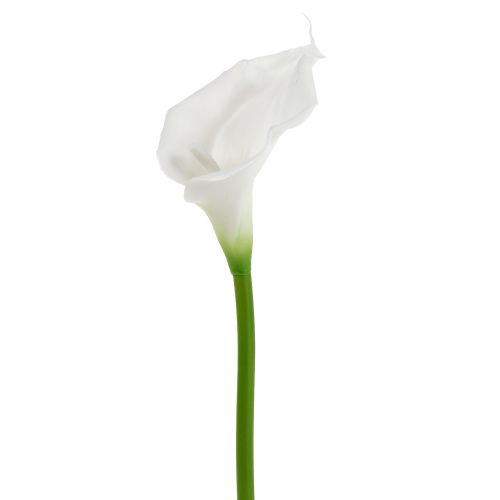 Floristik24 Kunstig calla hvid 67cm