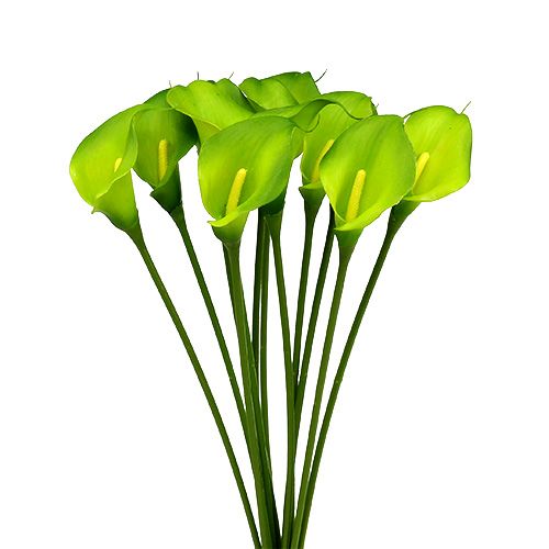 Floristik24 Calla kunstgrøn 8cm L57cm 12stk