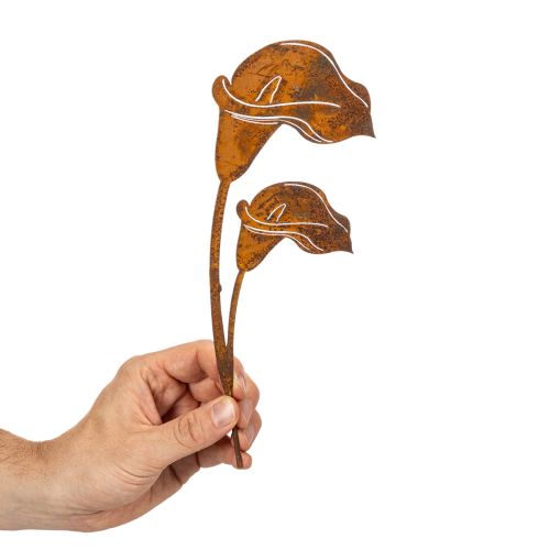 Havepæl Calla blomst rust til grave og blomsterhandlere 25 cm 6 stk. | Floristik24.dk