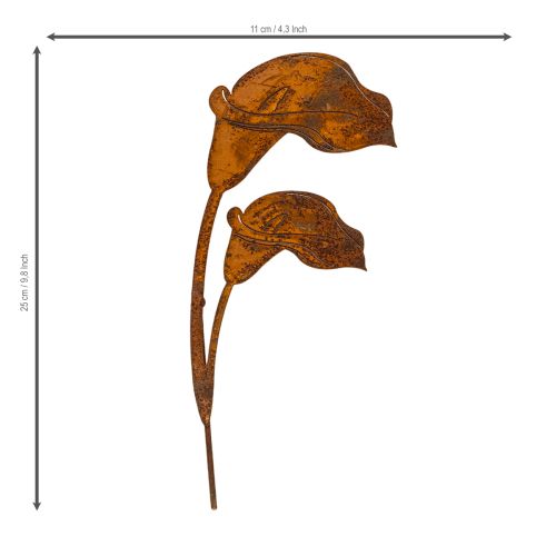 Havepæl Calla blomst rust til grave og blomsterhandlere 25 cm 6 stk. | Floristik24.dk