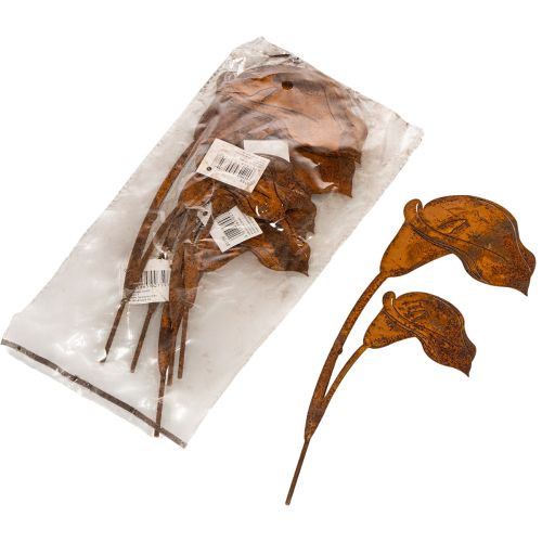 Havepæl Calla blomst rust til grave og blomsterhandlere 25 cm 6 stk. | Floristik24.dk