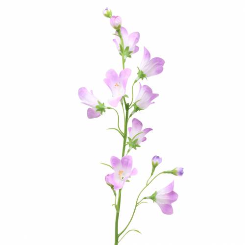 Floristik24 Kunstig Campanula Bellflower Purple 66cm