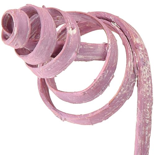 Artikel Sukkerrørsspiral Sukkerrørskegle Sukkerrørssortiment Bær 30cm 75 stk