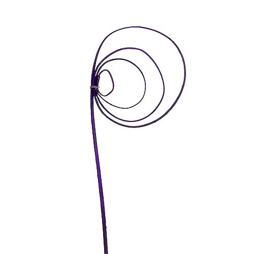 Floristik24 Cane Coil Lilla 25 stk.