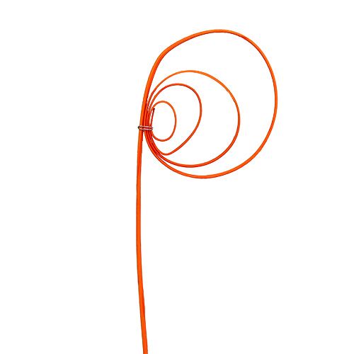 Floristik24 Cane Coil orange 25 stk.