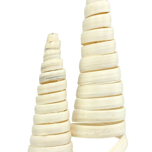 Floristik24 Cane Cone bleget 25 stk