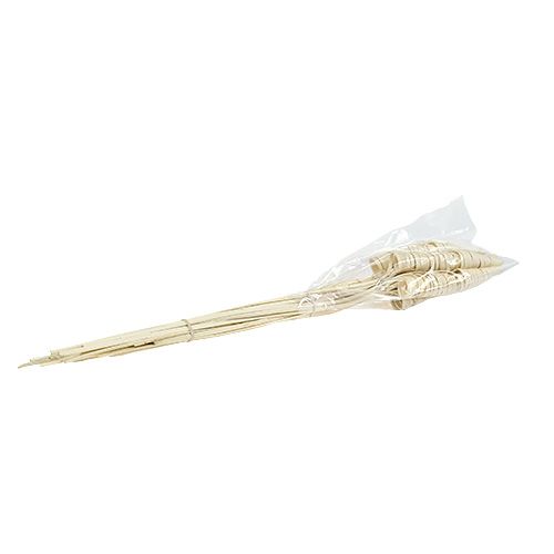 Floristik24 Cane Cone bleget 25 stk