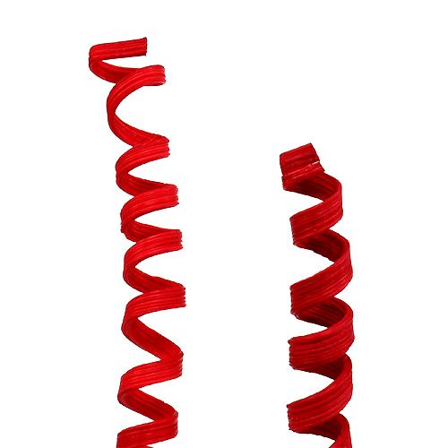 Floristik24 Cane Spring mini rød 25 stk