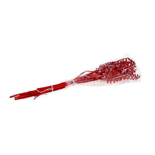 Floristik24 Cane Spring mini rød 25 stk
