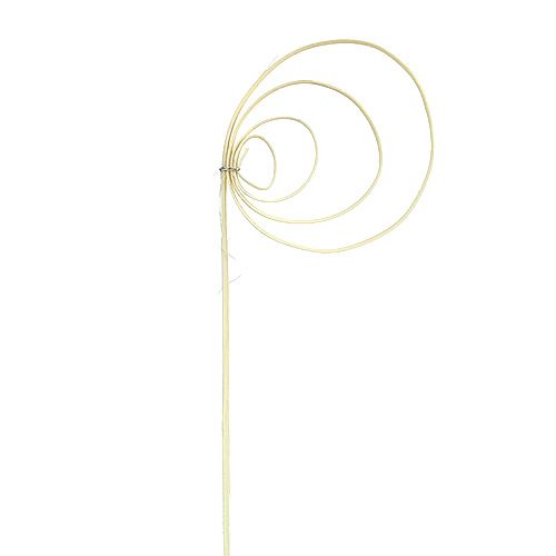 Floristik24 Cane Coil bleget 25 stk