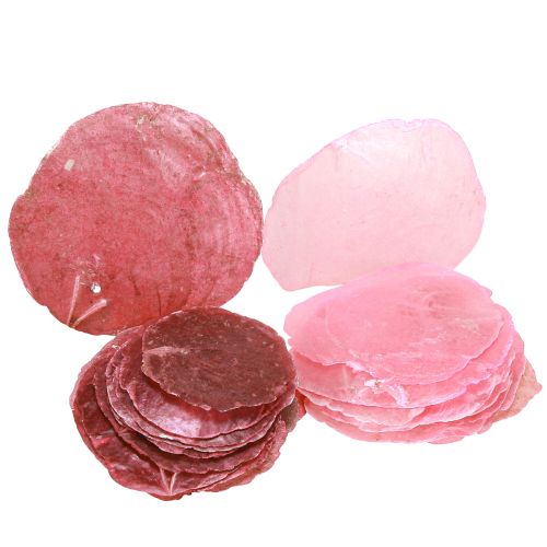 Capiz skaldekoration i pink bær 5cm–8cm mix 60 stk