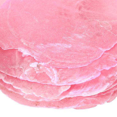 Artikel Capiz skaldekoration i pink bær 5cm–8cm mix 60 stk