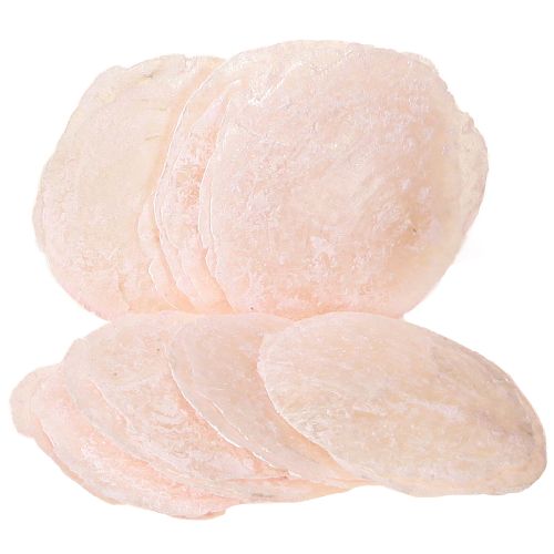 Floristik24 Capiz-skaller perlemorskiver deco-skaller lys pink Ø8cm