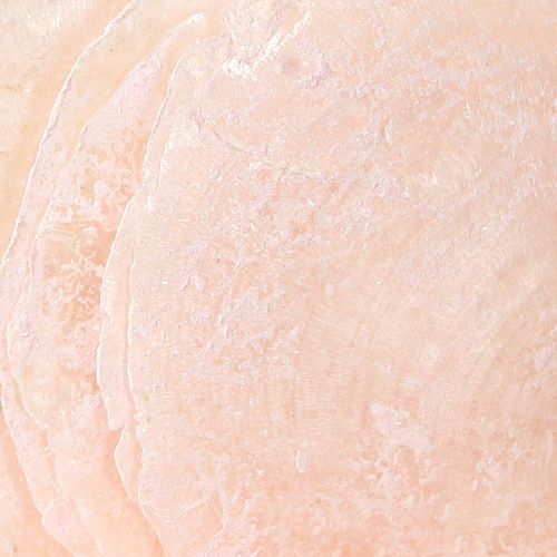 Floristik24 Capiz-skaller perlemorskiver deco-skaller lys pink Ø8cm