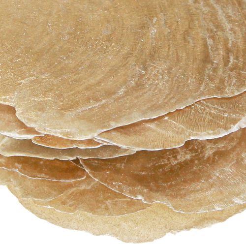 Artikel Capiz-skiver i naturguldskaller 60 stk