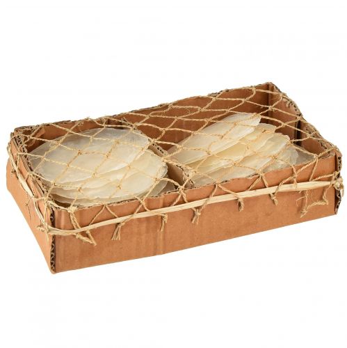 Artikel Capiz-skaller Capiz-skiver perlemor-skiver naturlig 7,5-9,5 cm 300g