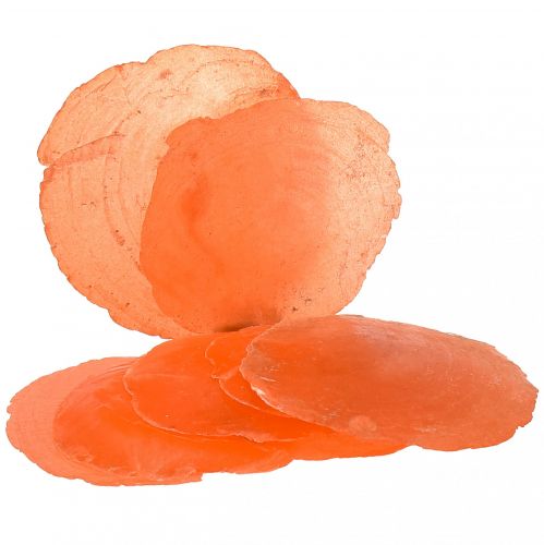 Capiz-skaller Capiz-skiver perlemor-skiver appelsin 7,5–9,5 cm 300g