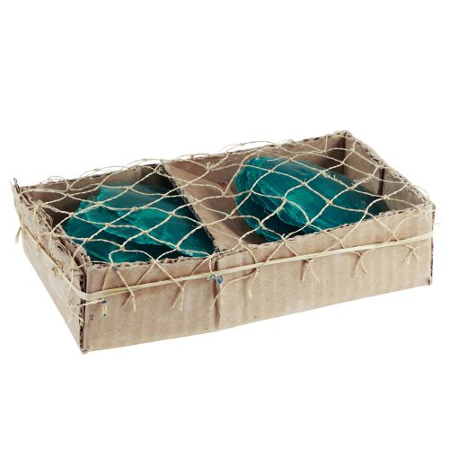 Artikel Capiz-skaller Capiz-skiver perlemorskiver turkis 7,5-9,5 cm 300g