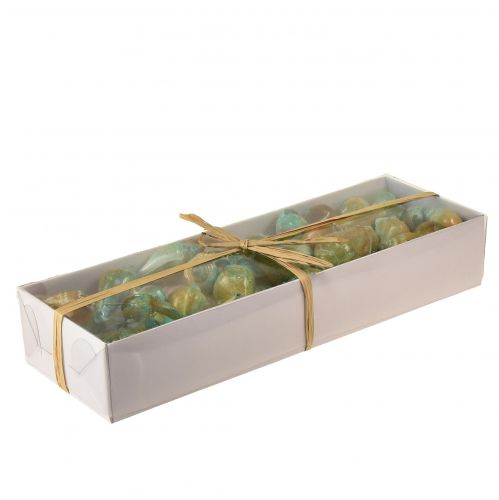 Floristik24 Capiz perlemorskal perlemorskiver havsnegleskal grøn 3,5–9,5cm 750g