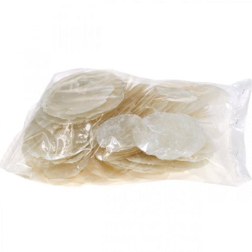 Artikel Maritime, Capiz-skaller 5-10 cm, perlemor, naturmateriale 1 kg