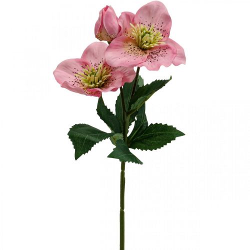 Floristik24 Julerose, fasterose, hellebore, kunstige planter pink L34cm 4stk