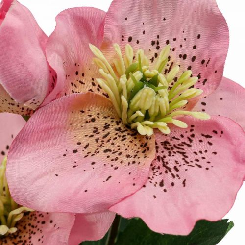 Floristik24 Julerose, fasterose, hellebore, kunstige planter pink L34cm 4stk