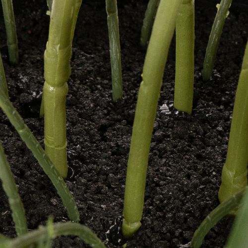 Kunstig Helleborus potteplante, julerose, til boligdekoration, 50 cm | Floristik24.dk