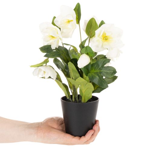 Kunstig julerose, potteplante, borddekoration, 34 cm | Floristik24.dk