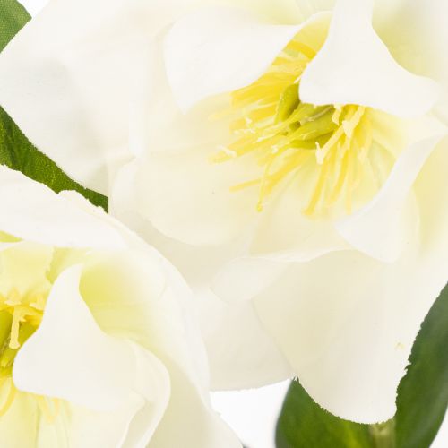 Kunstig julerose, potteplante, borddekoration, 34 cm | Floristik24.dk