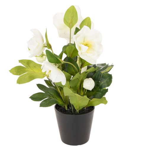 Kunstig julerose, potteplante, borddekoration, 34 cm | Floristik24.dk