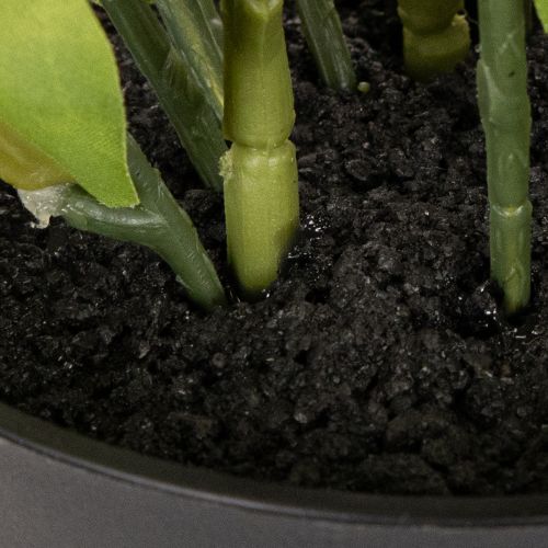 Kunstig julerose, potteplante, borddekoration, 34 cm | Floristik24.dk