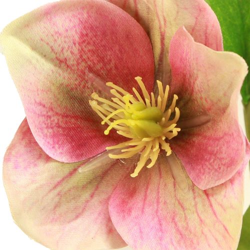 Artikel Elegant buket lyserøde juleroser – 35 cm 6 stk.