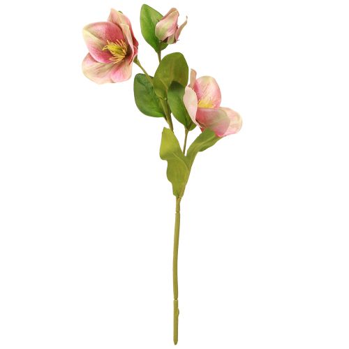 Artikel Elegant buket lyserøde juleroser – 35 cm 6 stk.