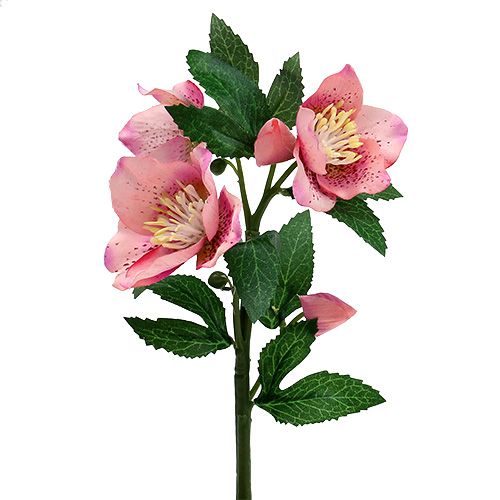 Floristik24 Julerosa lyserød L22cm 1p